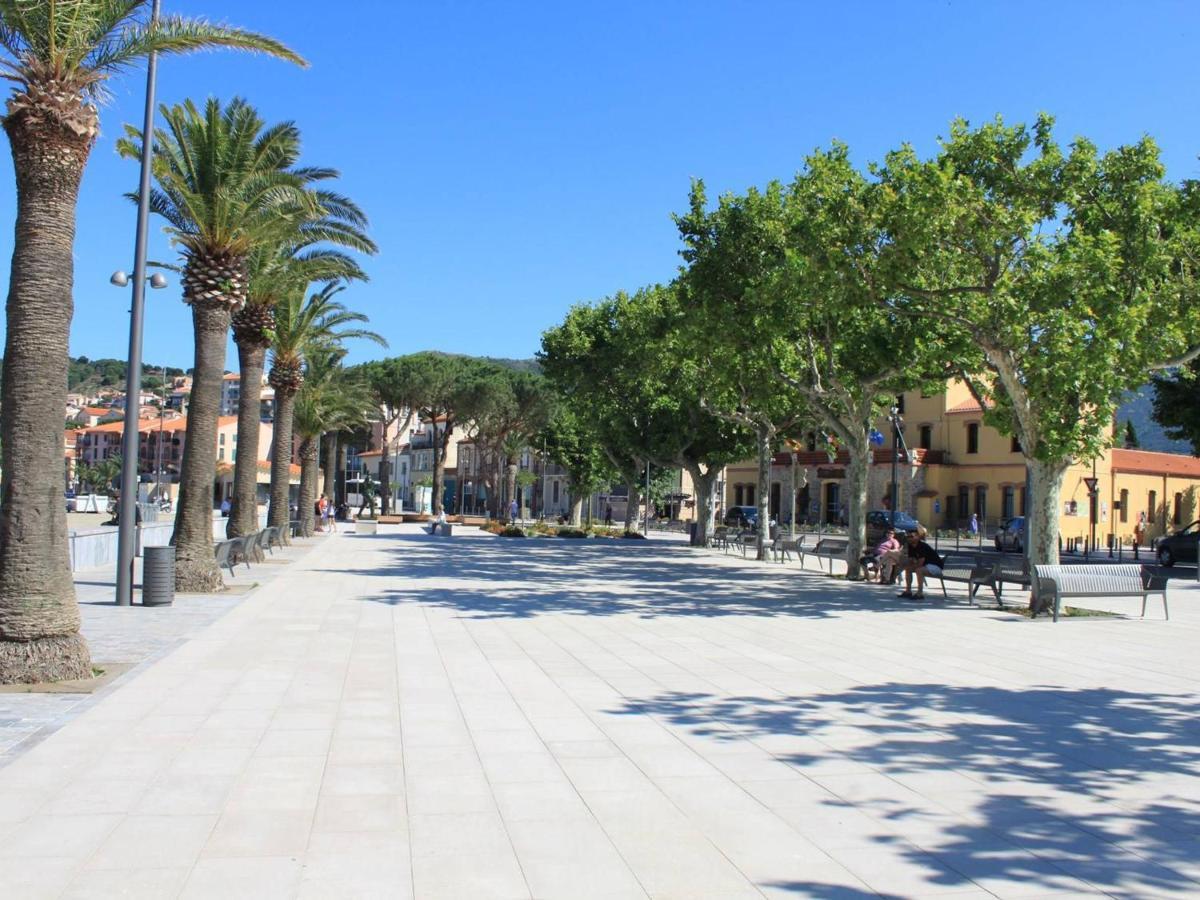 Appart Familial 6 Pers Banyuls-Sur-Mer Clim, Parking Prive, Proche Plages - Fr-1-225C-57 Exterior foto